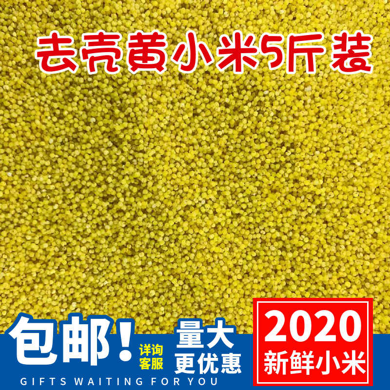 Fresh shelled yellow millet bird food new shellless millet bird food parrot feed shelled millet egg millet raw material