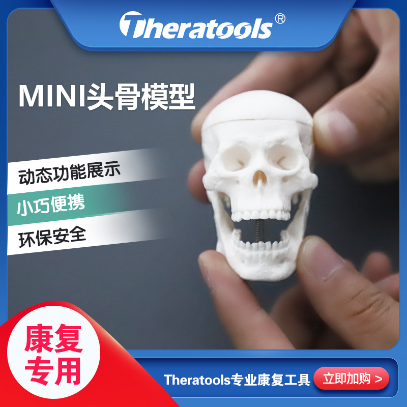 mini迷你头骨人体骨骼模型动态可拆卸教具康复教学功能展示用摆件