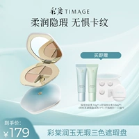 Консилер, тональный крем, против темных кругов под глазами