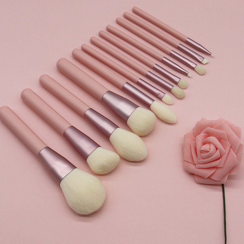 12 animal hair makeup brush sets complete set of beginners pink cover brushed color makeup tools brush eye shadow brush lip brush