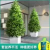 Товары от 半城花香旗舰店