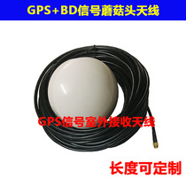 GPS DB Beidou signal amplifier Outdoor receiving antenna Mushroom head timing antenna Marine positioning SMA N