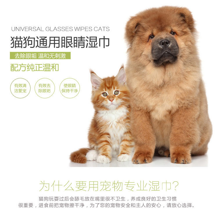 PURRY Pai 100 viên thú cưng mèo và chó lau mắt phổ quát không chứa cồn - Cat / Dog Beauty & Cleaning Supplies lược gỡ rối lông chó
