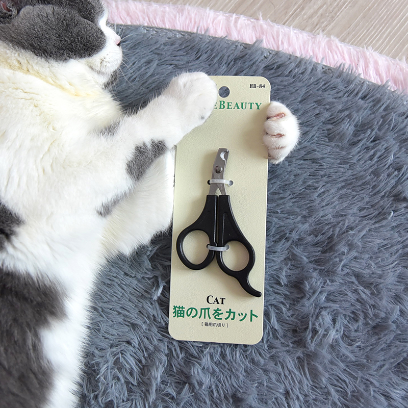 Multi-Comic Pet Cat Fingernail Cut Nail Clippers Special Pooch Nail Clippers Cut Nail Themetics Cat Objects-Taobao