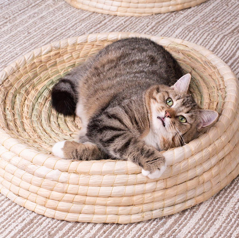 Large bowl-shaped cat scratching board cat nest four seasons universal wear-resistant cat toy grinding claw pad willow rattan grass nest cat supplies