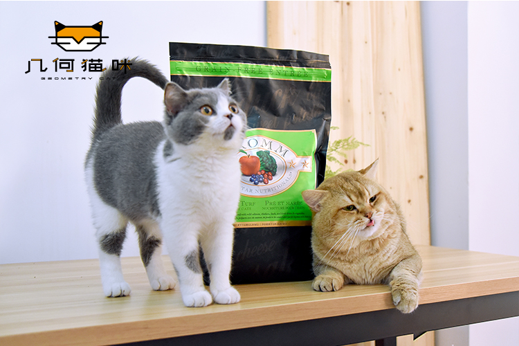 Hình học tại chỗ Mèo ban đầu Nhập khẩu Thung lũng tự nhiên Fumo Vịt cá hồi miễn phí Toàn bộ Mèo Thực phẩm Chó con thành Mèo 5 lbs - Cat Staples minino 1.3 kg