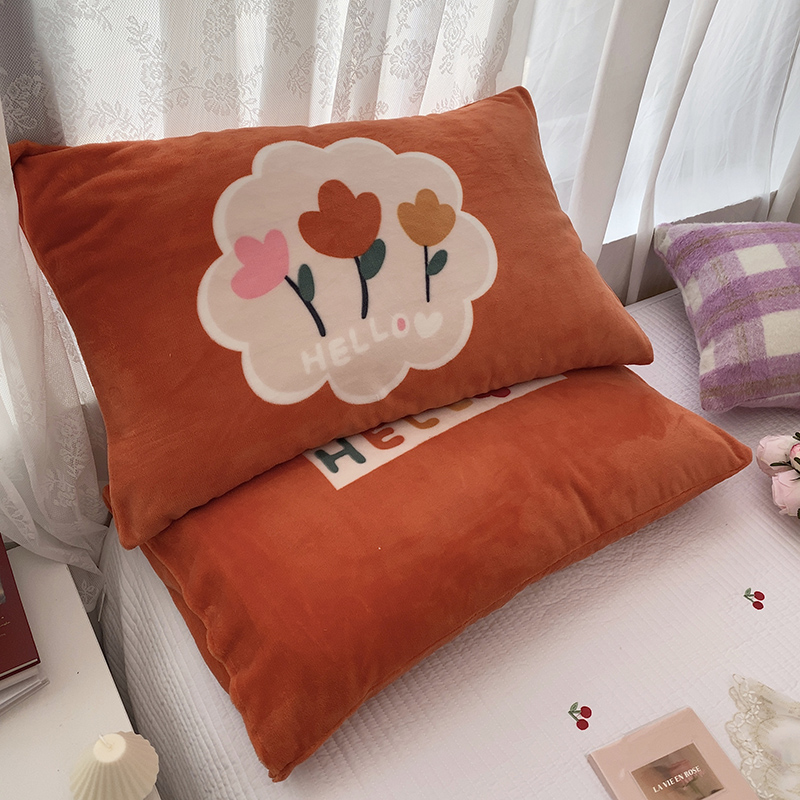 Korean-style ins thick milk fleece cartoon pillowcase single 4874 pillow core cover Faray velvet warm pillow cover