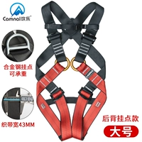 Большой, 10-14 лет