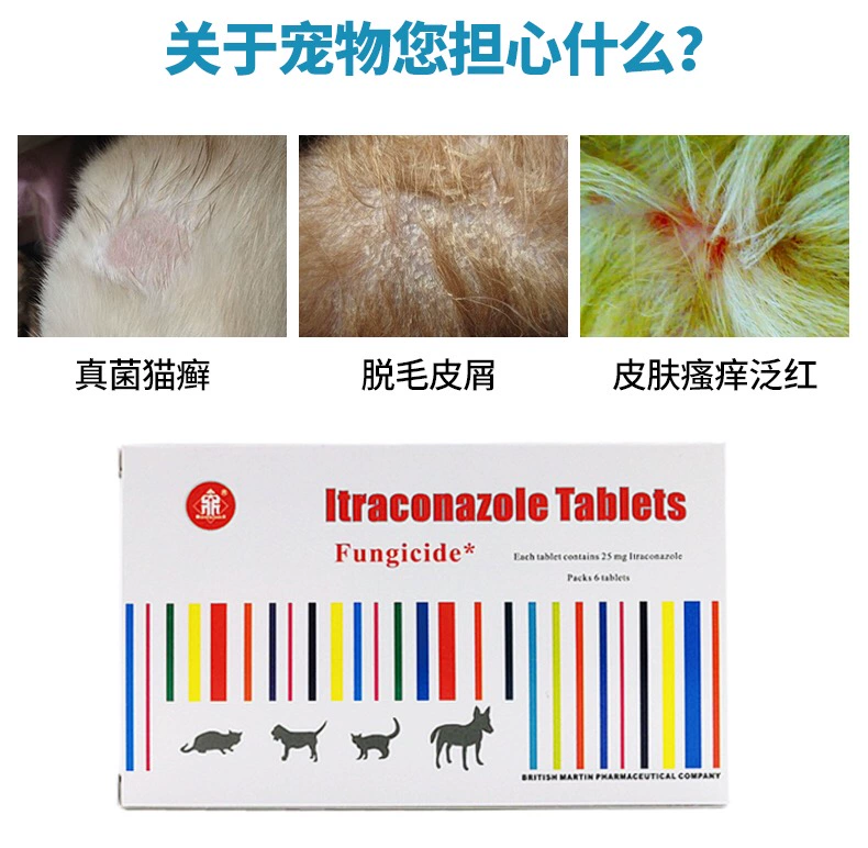 Viên thuốc Fuqu Khang itraconazole mèo ringworm nemesis chó và mèo khử nấm - Cat / Dog Medical Supplies