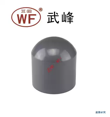 WF Wufeng UPVC choke plug 60mm=2 inch=DN50 JIS Japanese standard PVC pipe fittings pipe cap gray British British standard