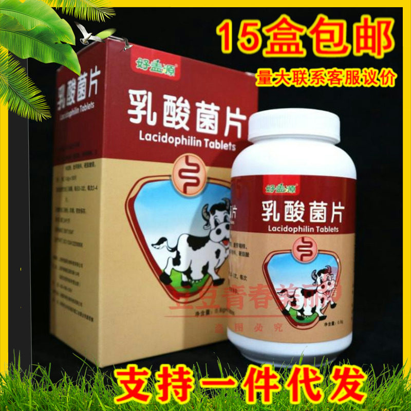 Good cover source lactic acid bacteria tablets chewable tablets live bacteria probiotics beneficial bacteria to help gastrointestinal tract digestion