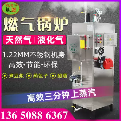 Steam boiler gas liquefied gas commercial large industrial automatic wine tofu sterilization steam generator