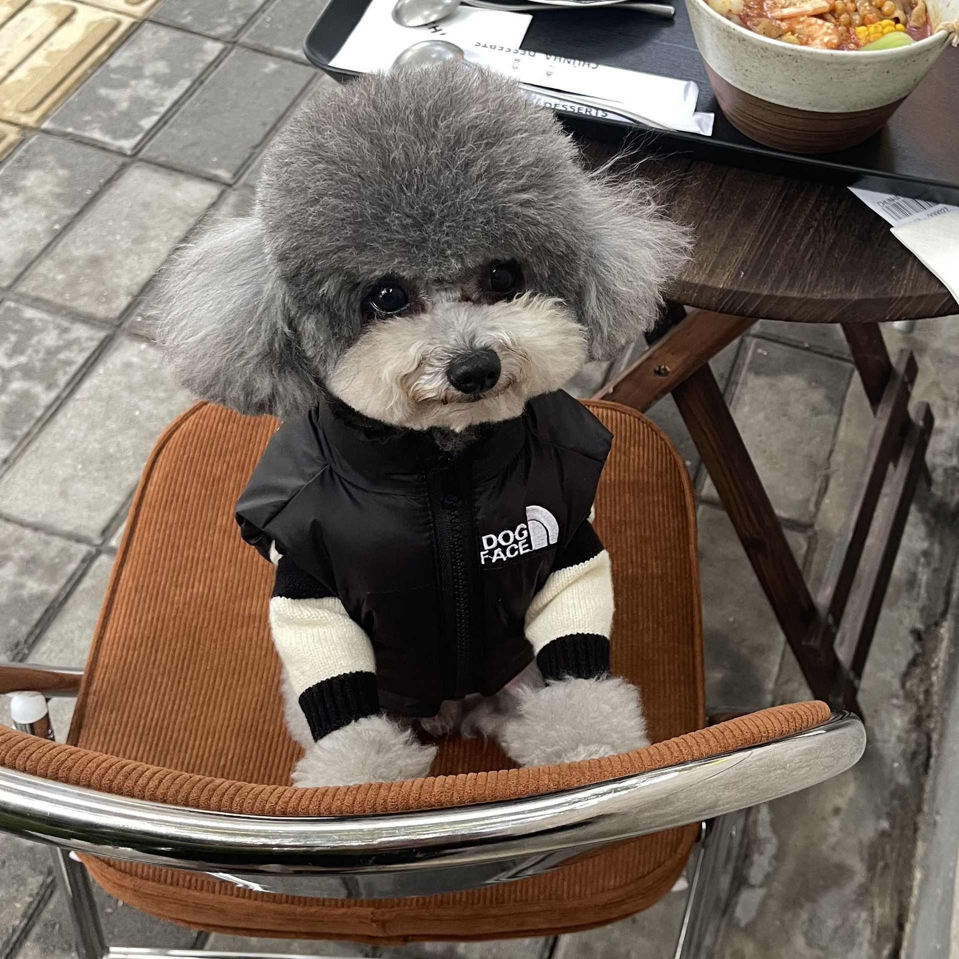 Autumn Winter Money small dog Puppy clothes Pets Pets Down Clothes Horse Chia Winter Clothing Fou Puppy Teddy Kitty Winter-Taobao