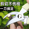 Garden Pruning Shears, Flower Shears, Gardening Scissors, Floral Scissors, Branch Shears, Fruit Tree Scissors, Branch Pruners, Flower Pruning Scissors