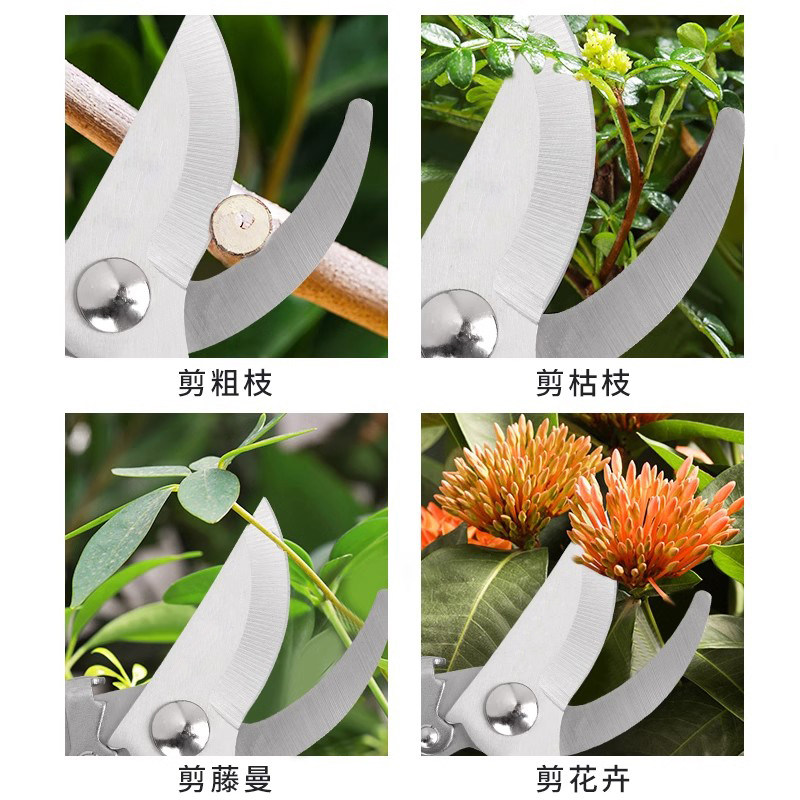 Garden Pruning Shears, Flower Shears, Gardening Scissors, Floral Scissors, Branch Shears, Fruit Tree Scissors, Branch Pruners, Flower Pruning Scissors