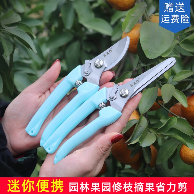 Nuriculture Tools Home Tools Orchard Scissors Trim Branches Scissors Landscaped Fruit Trees Flowers Branches Scissors Gardening tools