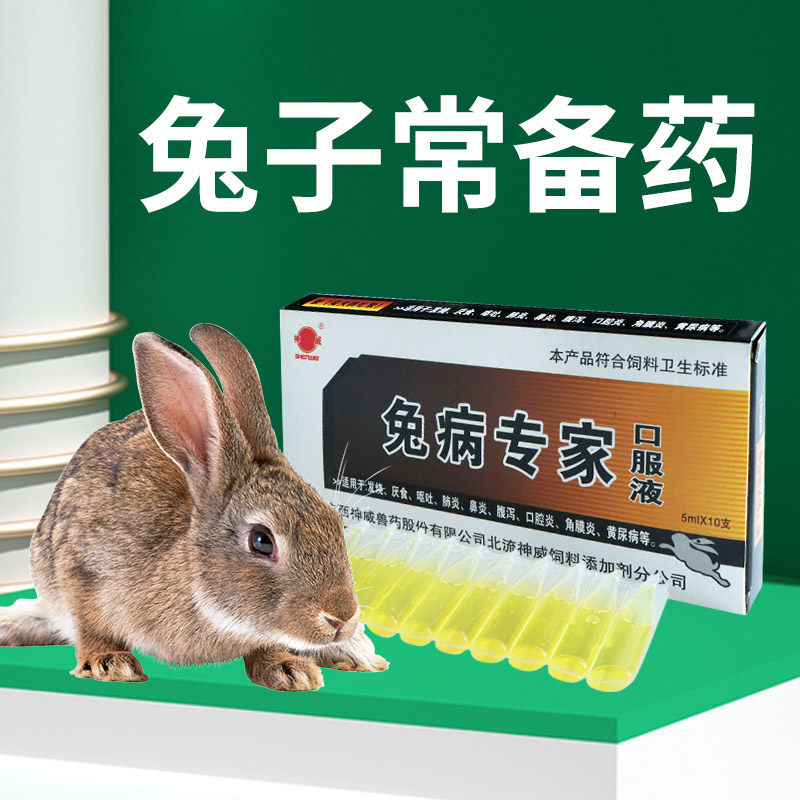 Regular medicine for rabbits pet rabbit yellow urine anorexia bloating diarrhea diarrhea stomatitis special medicine rabbit cold medicine