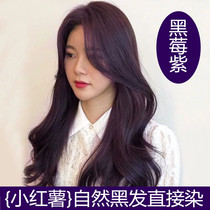 Black and purple hair dye does not need to be bleached 2022 popular color grape purple blackberry purple does not hurt hair pure plant hair dye female