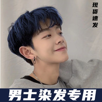 Hair dye mens special color 2022 popular hair color at home dyed black linen blue black hair dye pure plant