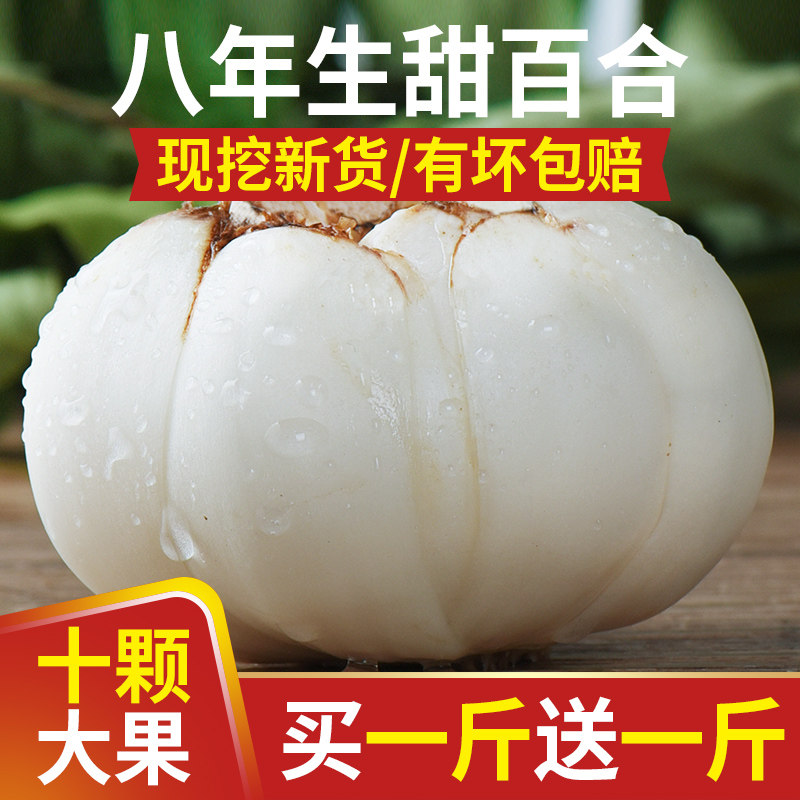 Lanzhou Lily Sweet Fresh Lilies 500g Gansu Lilies consume white special - class non - lily dry goods