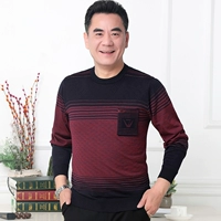 Mùa xuân thanh niên cotton cổ tròn tay dài mặc áo đất nam áo thun nam trung niên áo trung niên mùa xuân và quần áo mùa thu ao phong nam