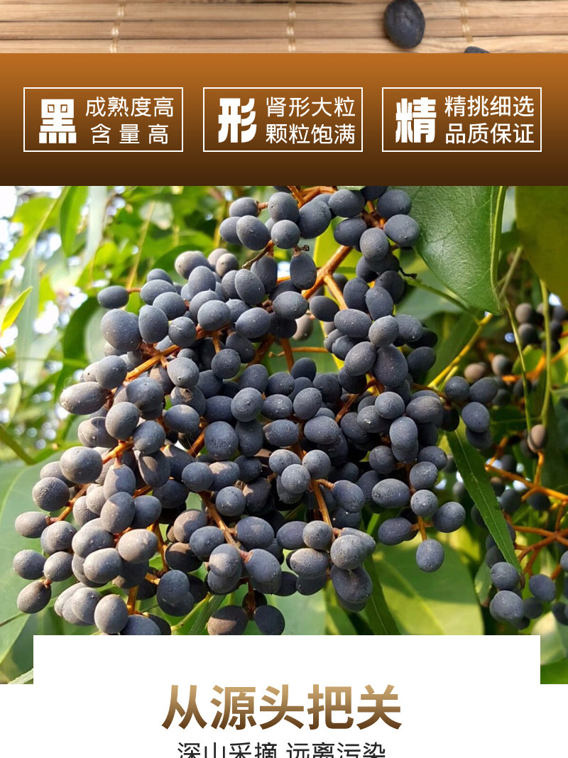 Wild Ligustrum Fruit Nuzhenzi Dried Whole Berries Taihang Mountain Harvest Traditional TCM Herbal Tea Loose Bulk key features