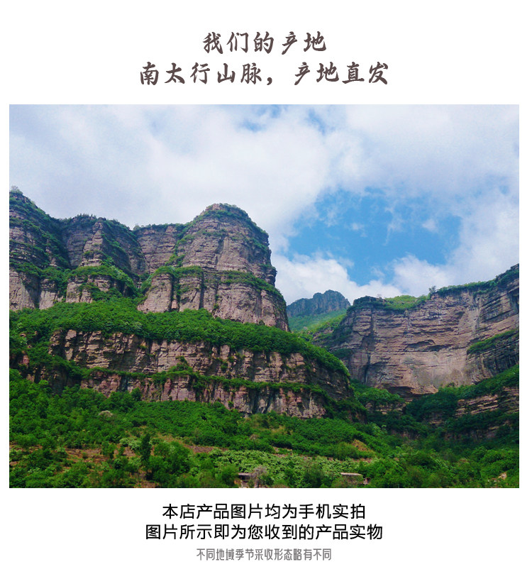 Wild Ligustrum Fruit Nuzhenzi Dried Whole Berries Taihang Mountain Harvest Traditional TCM Herbal Tea Loose Bulk preparation