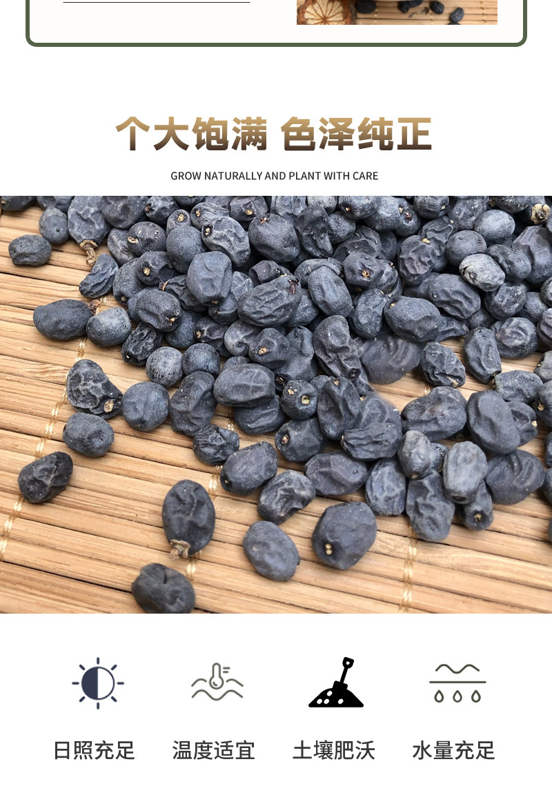 Wild Ligustrum Fruit Nuzhenzi Dried Whole Berries Taihang Mountain Harvest Traditional TCM Herbal Tea Loose Bulk quality and texture