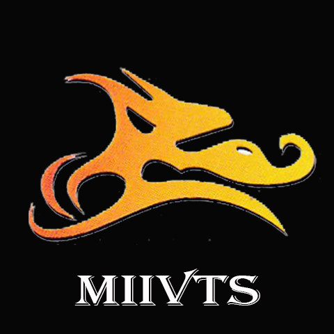 MIIVTS鞋类企业店的LOGO