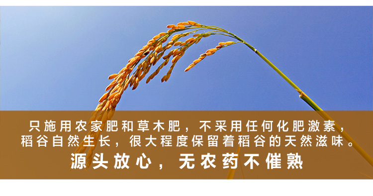 泰国原粮进口 王家粮仓 长粒香米 20斤 图8
