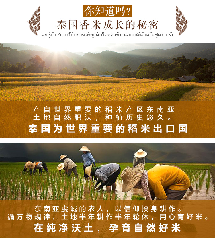 泰国原装进口 王家粮仓 长粒香米 20斤 图3