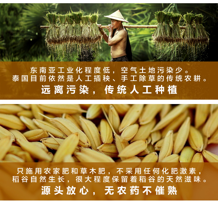 泰国原装进口 王家粮仓 长粒香米 20斤 图4