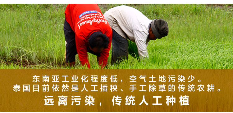 泰国原粮进口 王家粮仓 长粒香米 20斤 图6