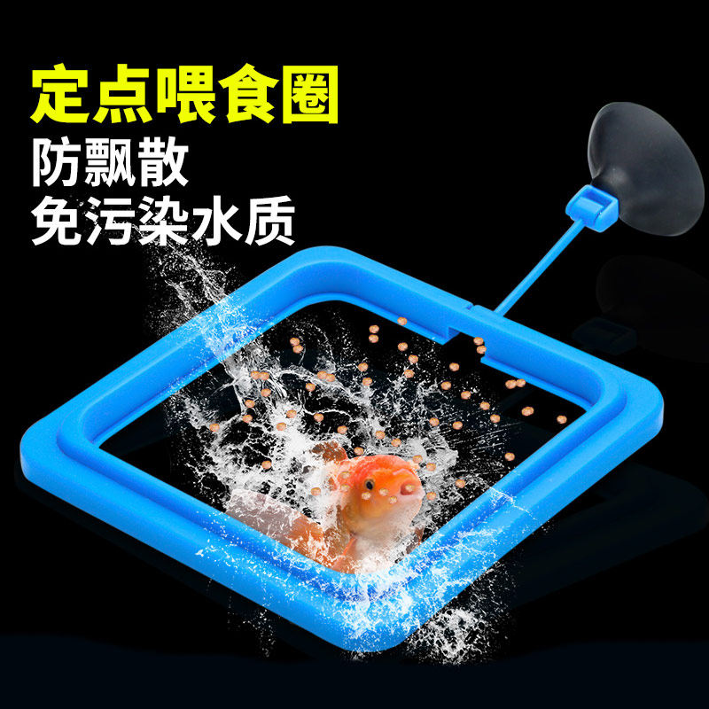 Fish tank feeding circle feeding circle floating fish feed special fish tank feeder anti-proliferation ornamental fish fixed feeding