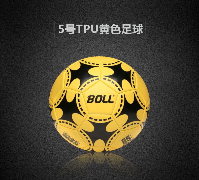 Ballon de football - Ref 7486 Image 9