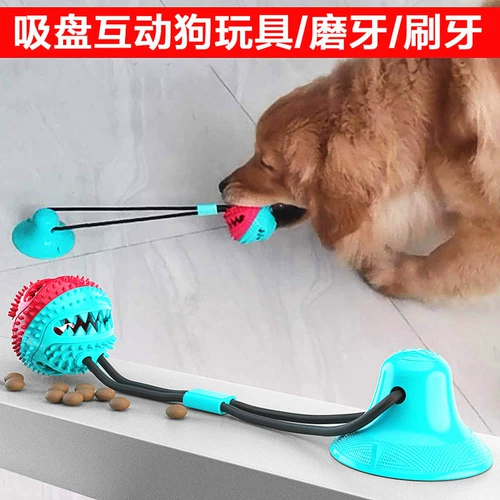 Big Dog's Beat Ball, Dog Toy, золотистый ретривер, нулевые точки, игрушки, игрушки, игрушки, игрушки, игрушки, игрушки и игрушки.