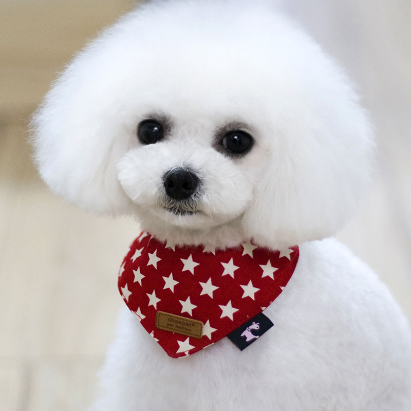Pet Dog Scarf Teddy Dog Triangle Towel Wash Tools Bear Dog Neck and Small Dog Neck Cat Neck