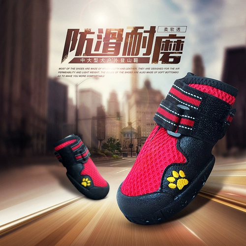 Golden Mao Shoes Big Dog Shoes Sherry Border Four Seasons обувь постоянная сеть обувь Samoda Alaska Mid -Large Dog Shoes