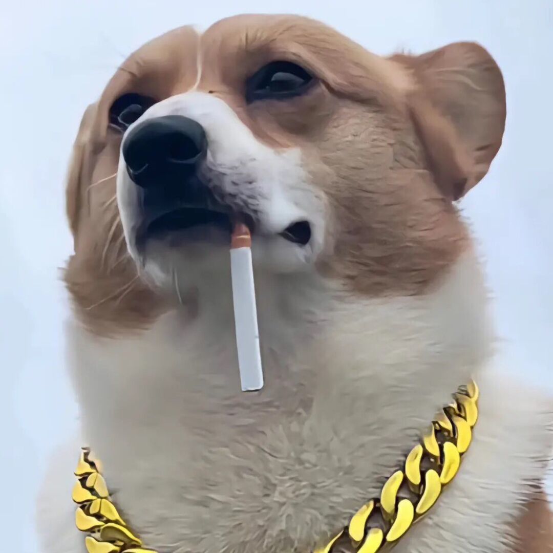 买过的店 高效完成任务