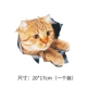 Cat a Model [купить два бесплатно бесплатно]