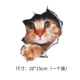 Cat B Модель [купить два бесплатно бесплатно]