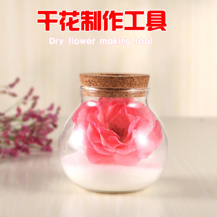 diy plant glass ecological bottle swing piece creative crystal clear vase drying flower glass bottle microscape glass bottle