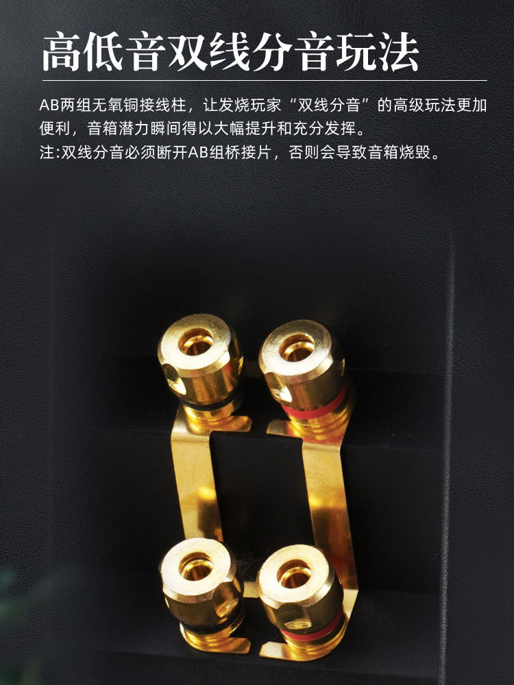 Kinghopea-8 Tube Amplifier Combo Audio System 8inch Three-Way Amplifier Audiophile-Grade Hifi Bookshelf Speaker Set