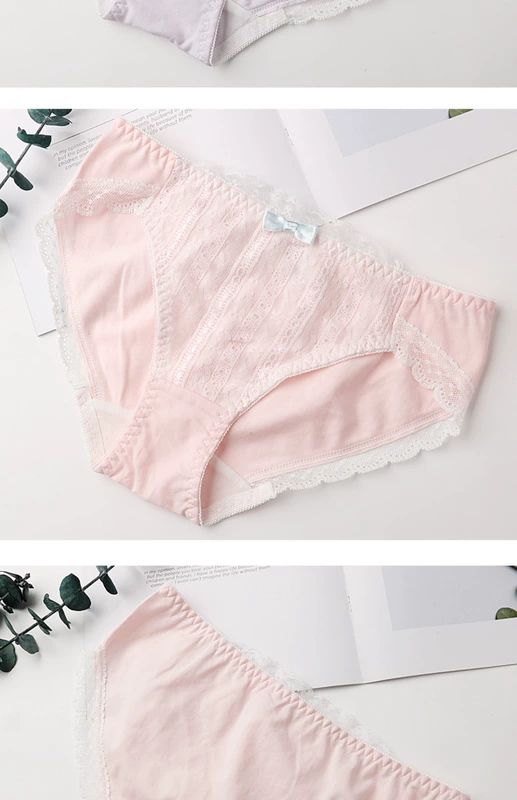 Đồ lót nữ bằng vải cotton gợi cảm của Nhật Bản - Giống cái