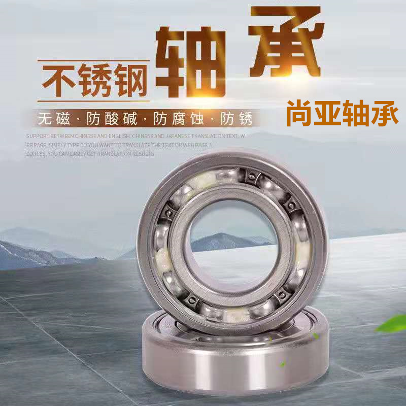 Stainless steel bearing SS6000 6001 6002 6003 6004 6005 6006 6007 6008Z