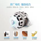 Дубы 6,5 кг домашней турбины Полностью автоматическая стиральная машина небольшая общежитие крупно -мощность Eluge All -In -nay Parmice Machine