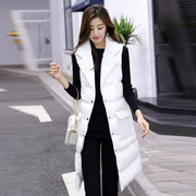 2019 thu đông mới áo vest cotton nữ mỏng quần áo cotton dày vest hoang dã xuống áo vest cotton tay áo thủy triều