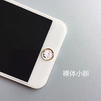 Голый ксиаосин