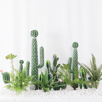 Nordic simulation plant cactus cactus small cactus window decoration green plant landscaping set landscape ornaments