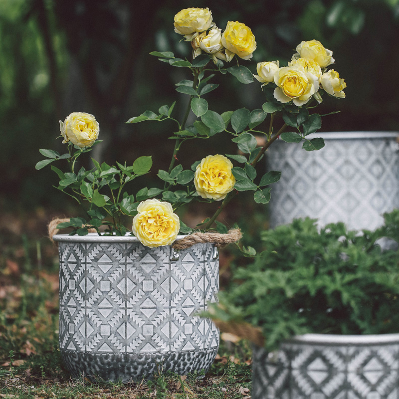 Left Bank Wheat Fields Hemp Fields Hemp Rope Double Ear Embossing Sheet Metal Flowers Art Drum Retro Made Old Fall Metro Art Flower Pots Grow Green Planting